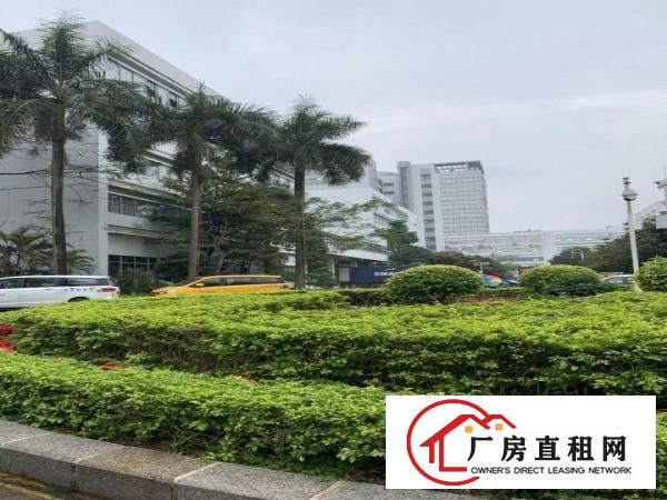 
		坪山楼上厂房出租4000平3吨电梯有喷淋有卸货平台0交通便利
	