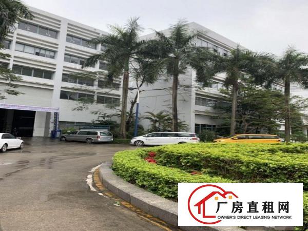 
		坪山楼上厂房出租4000平3吨电梯有喷淋有卸货平台0交通便利
	