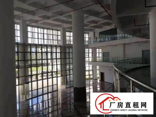
		哇！好靓！花园式的环境！坪山大工业区全新1000平厂房招租！
	