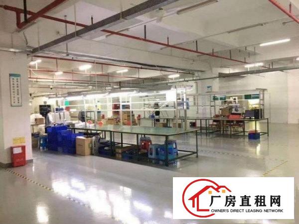 
		坪山比亚迪旁新出楼上2260平带装修原房东实量面积厂房出租
	