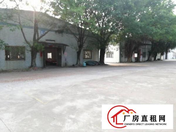 
		坪山大道边沙湖钢构厂房出租1400平大小分租空地大交通便利
	