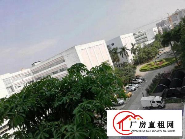 
		坪山大工业区花园式园区新出10米高一楼1350平方厂房
	
