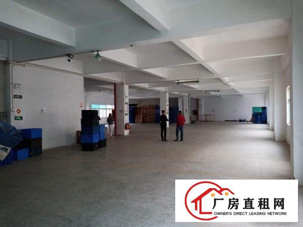
		出租！坪山碧岭宇恒工业园原房东二楼1100平，带简装可分租
	