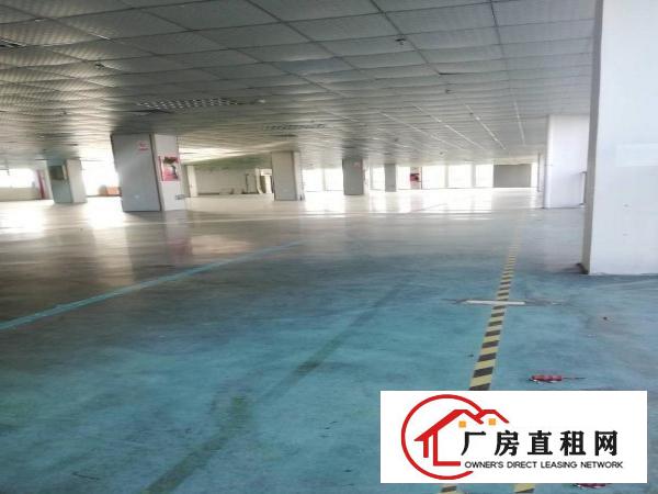 
		坪山高新科技园区1250平米带简装红本厂房出租
	