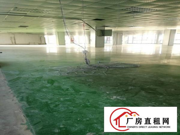 
		坪山高新科技园区1250平米带简装红本厂房出租
	