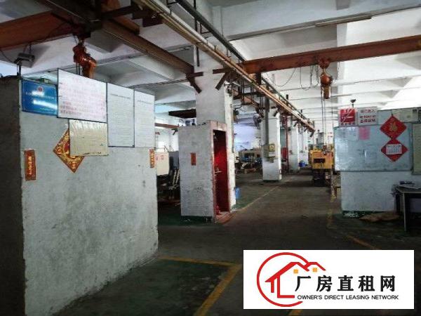 
		坪山大工业区新出标准一楼6米高3000平方出租红本厂房
	