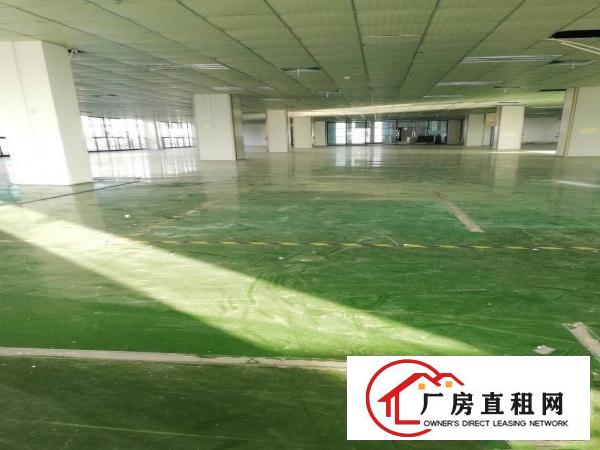 
		坪山大工业红本厂房出租1250平米，有前台位，形像好
	