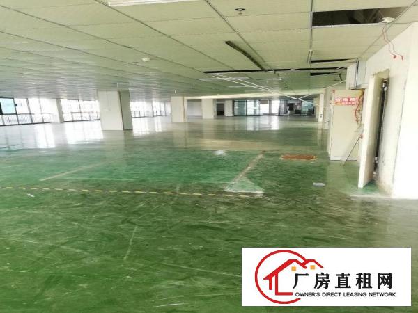 
		坪山大工业红本厂房出租1250平米，有前台位，形像好
	
