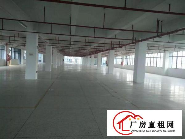 
		坪山大工业区原房东友利通高新产业园二楼2000平米带红本招租
	