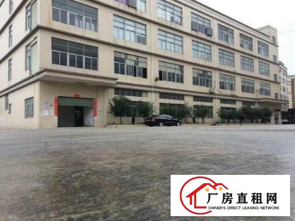 
		坪山碧岭原房东厂房新出一楼350平出租，免转让费
	
