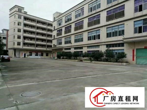 
		坪山碧岭原房东厂房新出一楼350平出租，免转让费
	