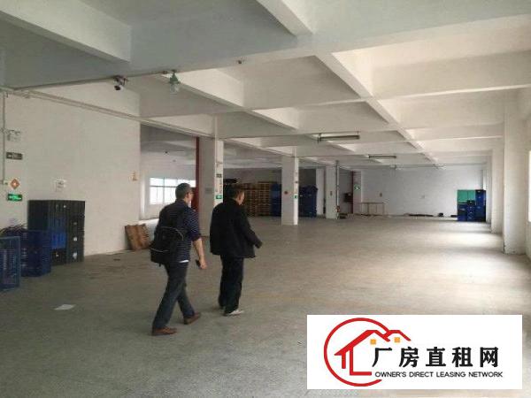 
		坪山碧岭工业区金碧路边上300至550平原房东一楼厂房招租
	
