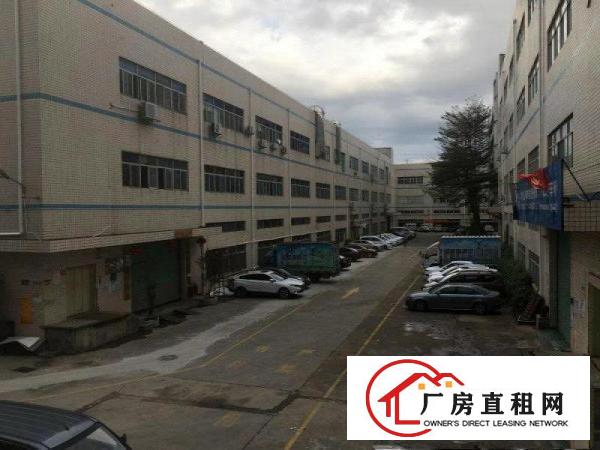 
		坪山碧岭工业区金碧路边上300至550平原房东一楼厂房招租
	