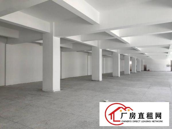 
		坪山碧岭沙湖新出独院标准厂房9300平整租16含税
	