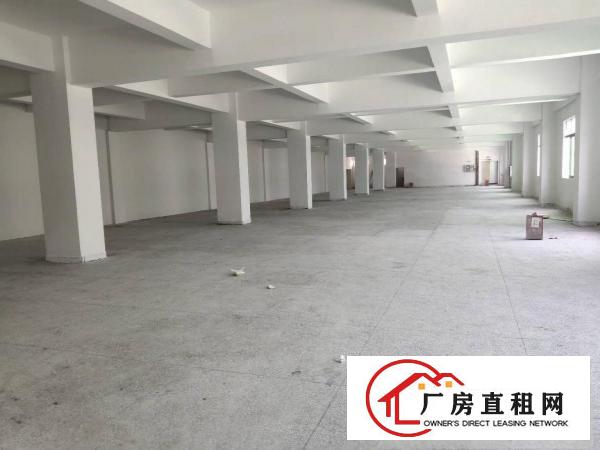 
		坪山碧岭沙湖新出独院标准厂房9300平整租16含税
	