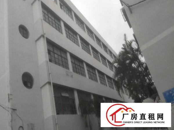 
		坪山原房东独院5300平厂房出租13元13元
	