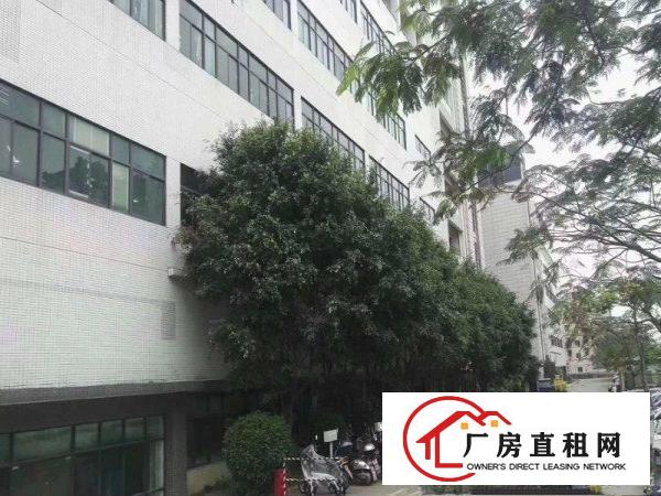 
		豪华装修！现成行车！坪山石井新出一楼1000平厂房！可分租！
	