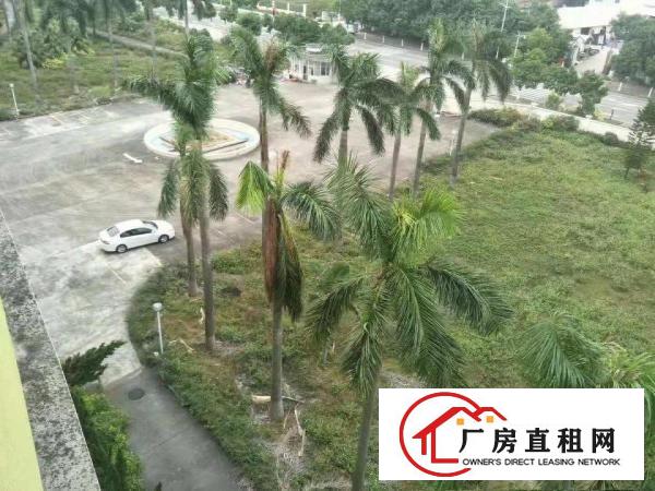 
		坪山区八万平米孵化产业园出租，可做生产办公研发，享受政府补贴
	