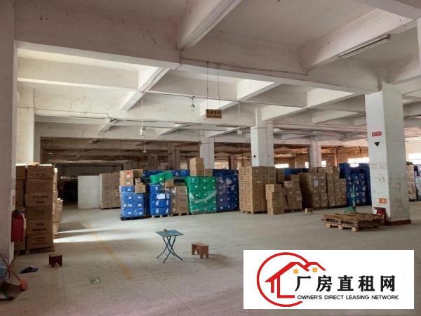 
		坪山碧岭工业区原房东厂房出租1万1千平空地超大交通便利有红本
	