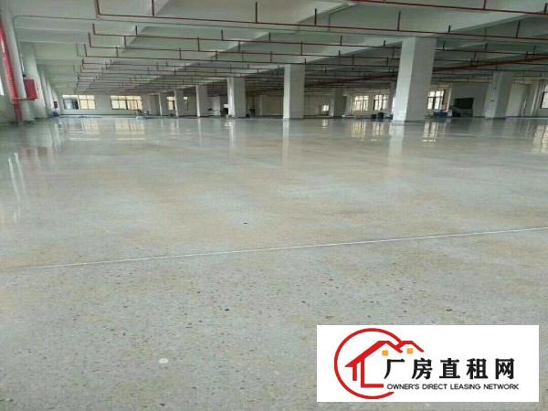 
		坪山经济开发区42800平米红本厂房出租可分租
	