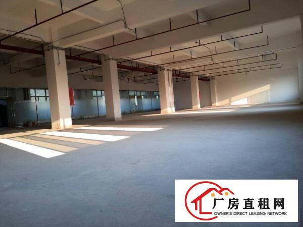 
		豪华玻璃幕墙工业厂房！有电梯4楼650平方厂房出租
	