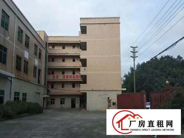 
		碧岭新出一楼二楼各1000平米厂房出租可分租
	