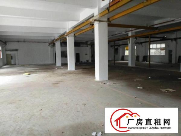 
		碧岭新出一楼二楼各1000平米厂房出租可分租
	