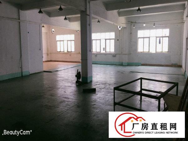 
		现成办公室！带地坪漆！空地超大！碧岭工业区新出一楼500平！
	