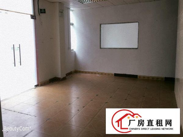 
		现成办公室！带地坪漆！空地超大！碧岭工业区新出一楼500平！
	
