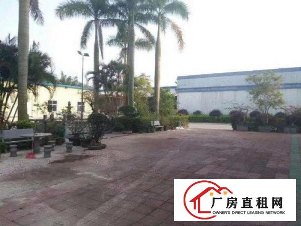 
		坑梓新出独院砖墙钢构3000平米，带隔热，滴水7米。
	