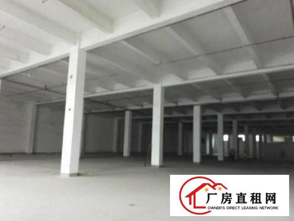 
		坑梓金沙新出7米高标准1楼厂房10000平米，可分租
	