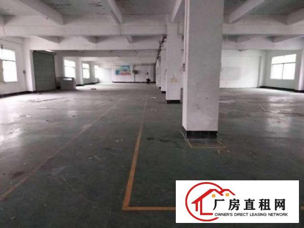 
		坪山坑梓原房东3楼整层1200带装修出租(可分租）
	