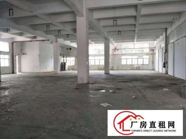 
		坑梓金沙原房东重工业厂房一楼标准892平招租
	