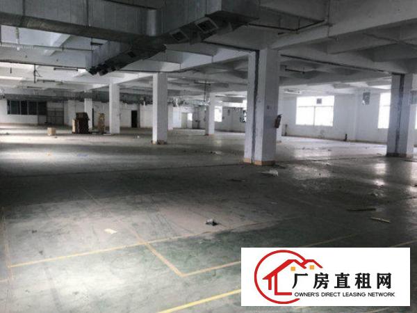 
		出租坪山新区坑梓二楼1500平方带现成装修
	