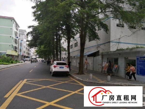 
		坑梓宝红路12-1厂房3000平可分租
	