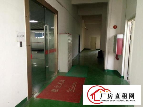 
		坑梓龙田工业区现新出二楼450平米送装修工业厂房招租
	