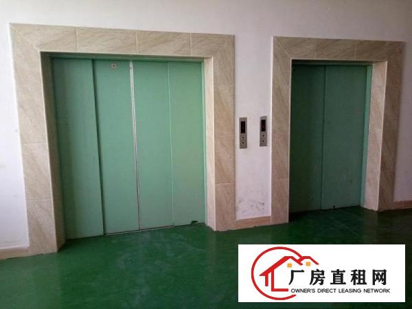 
		坑梓龙田工业区现新出二楼450平米送装修工业厂房招租
	