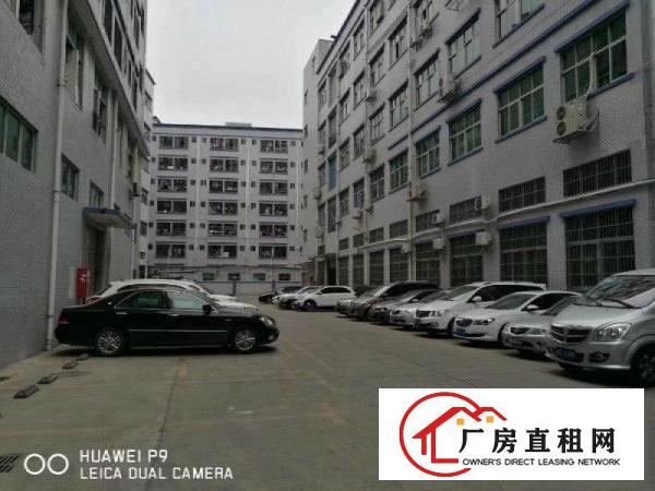 
		坑梓金沙原房东2楼分租1000平带喷淋送办公装修招商
	