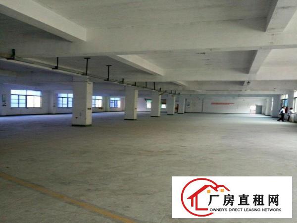 
		坪山区坑梓龙田社区新出独门独院厂房6100平米
	