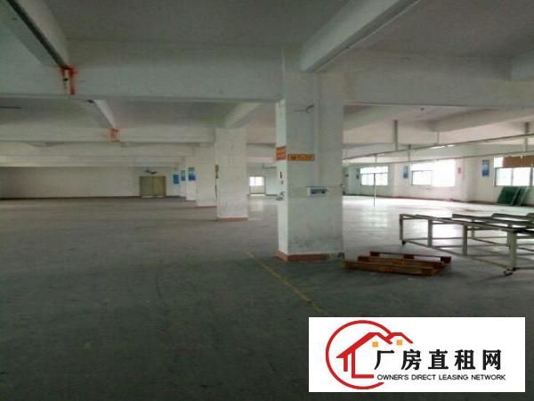 
		坪山区坑梓金沙市场带装修厂房二楼1200平米
	
