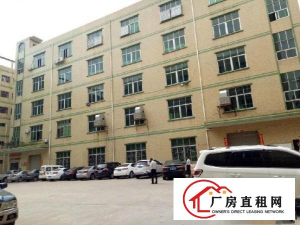 
		坪山区坑梓金沙市场带装修厂房二楼1200平米
	