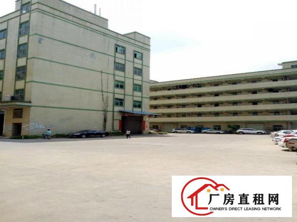 
		坪山区坑梓龙田龙湾市场三楼厂房2100平米带装修
	