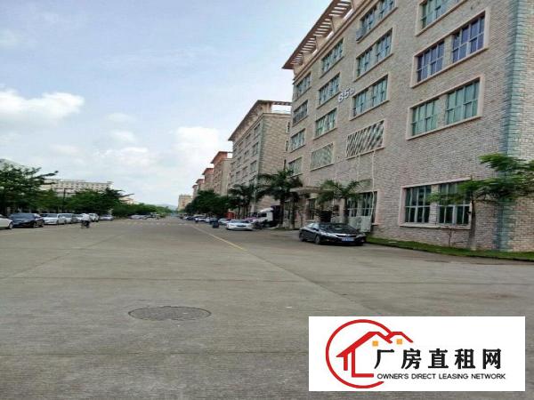 
		坪山区坑梓龙田小学新出三楼1300平方厂房出租有红本
	