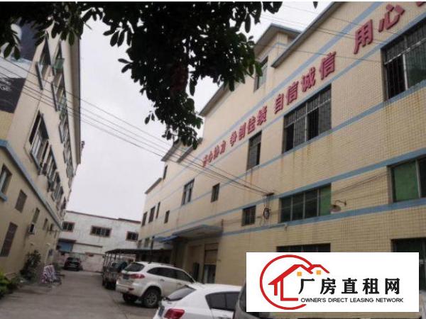 
		坪山大工业区原房东厂房一楼2000平方米带红本招租
	