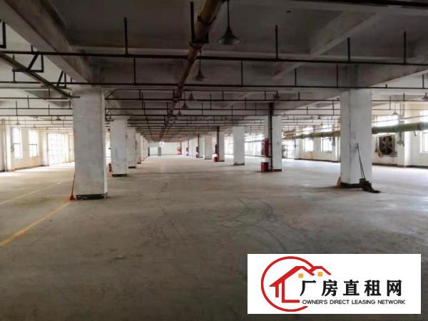 
		出租坪山新区坑梓新出原房东厂房平有红本带消防喷淋
	