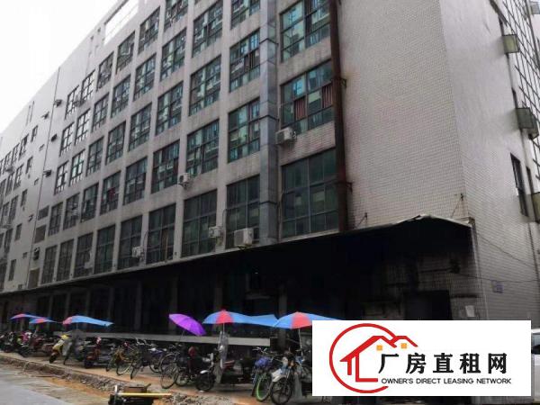 
		出租坪山新区坑梓新出原房东厂房平有红本带消防喷淋
	