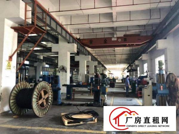 
		坪山新出一楼1100平方标准喷淋厂房高5.5米出租
	