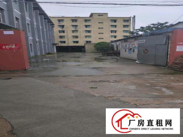 
		坑梓坪山坑梓金沙厂房招租厂房2800平米可以分租
	