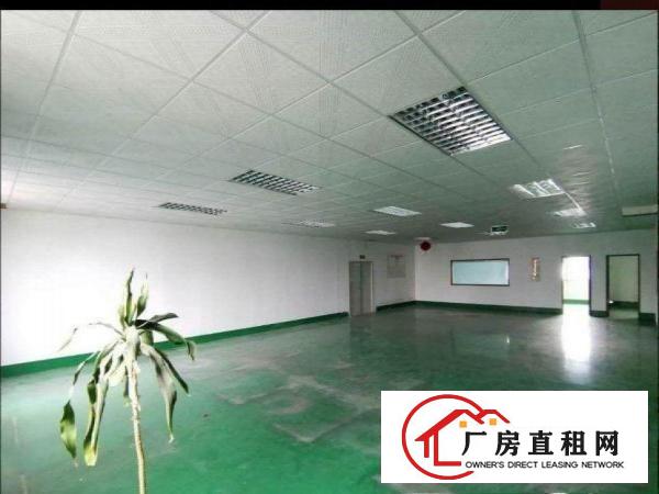 
		现成办公室！豪华装修！坑梓秀新工业区新出2楼500平厂房
	
