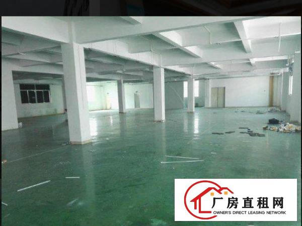 
		新房源！坪山江岭工业区新空出标准一楼360平厂房，现成办公室
	